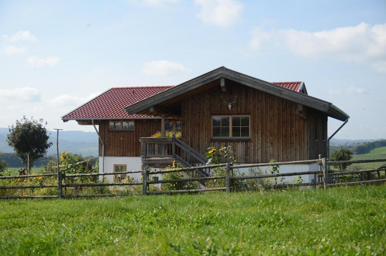 Chalet Bergliebe Брилон Экстерьер фото