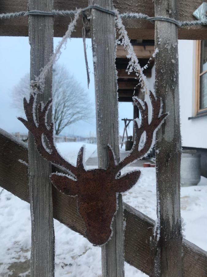 Chalet Bergliebe Брилон Экстерьер фото