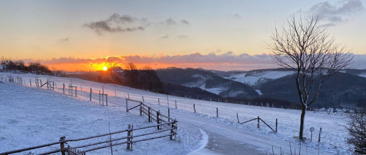 Chalet Bergliebe Брилон Экстерьер фото