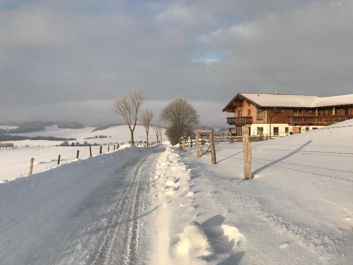 Chalet Bergliebe Брилон Экстерьер фото