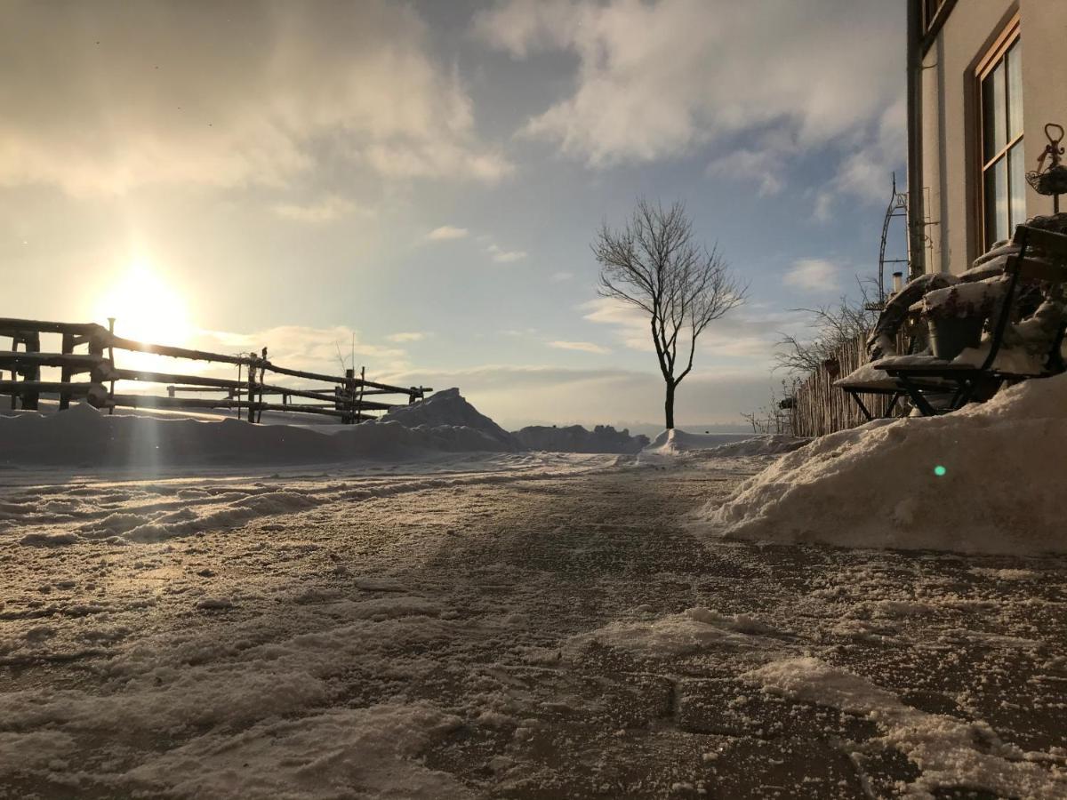 Chalet Bergliebe Брилон Экстерьер фото